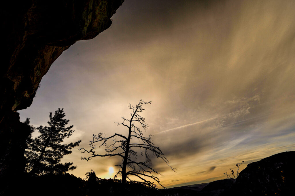 paysage nature