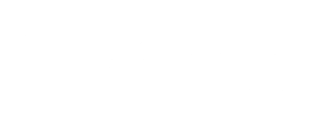 logo 2 blanc