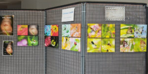 expo 10-2023 (4)