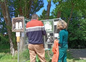 expo photo Vedène (4)