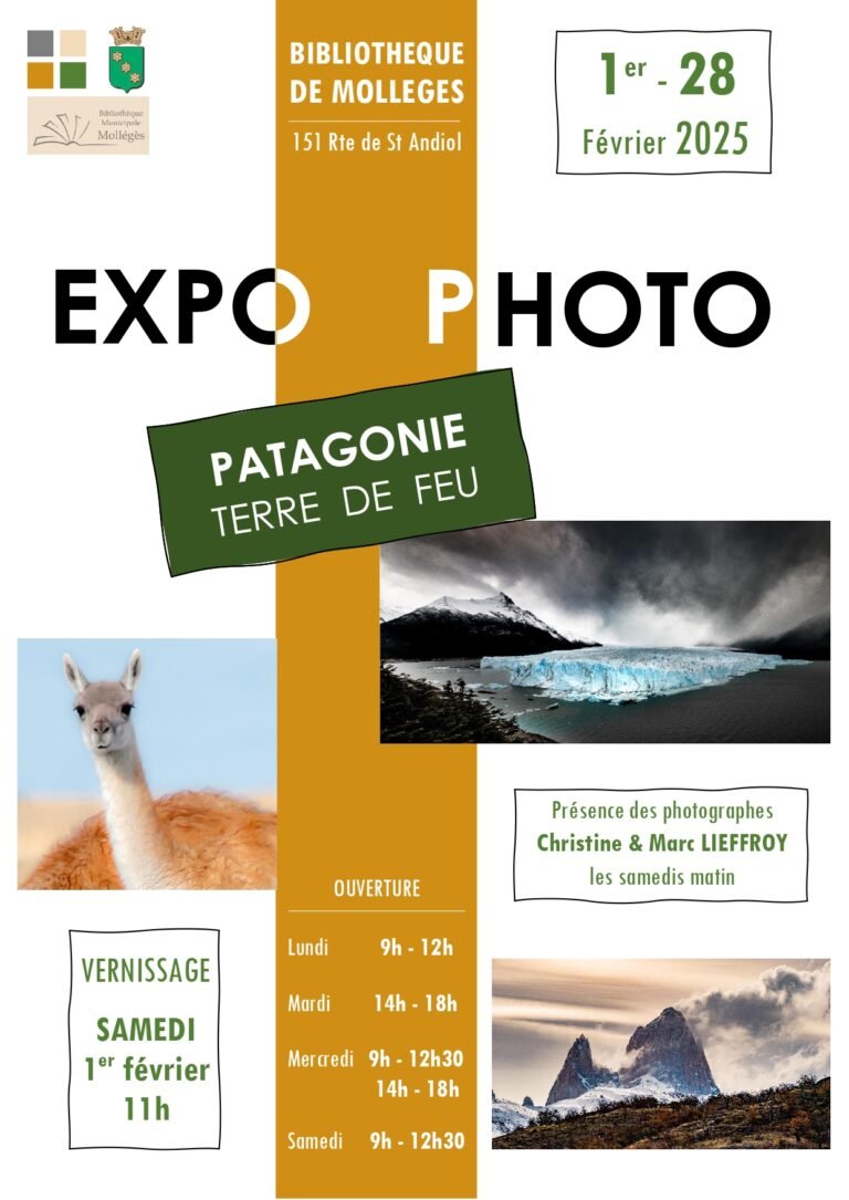 AFFICHE A4 expo février 2025-jpg-