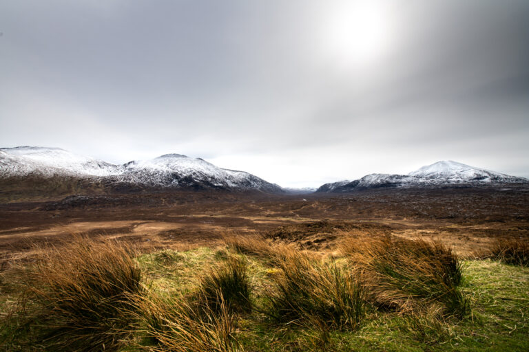 scotland 2026 (9)