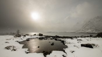 _CHI0463